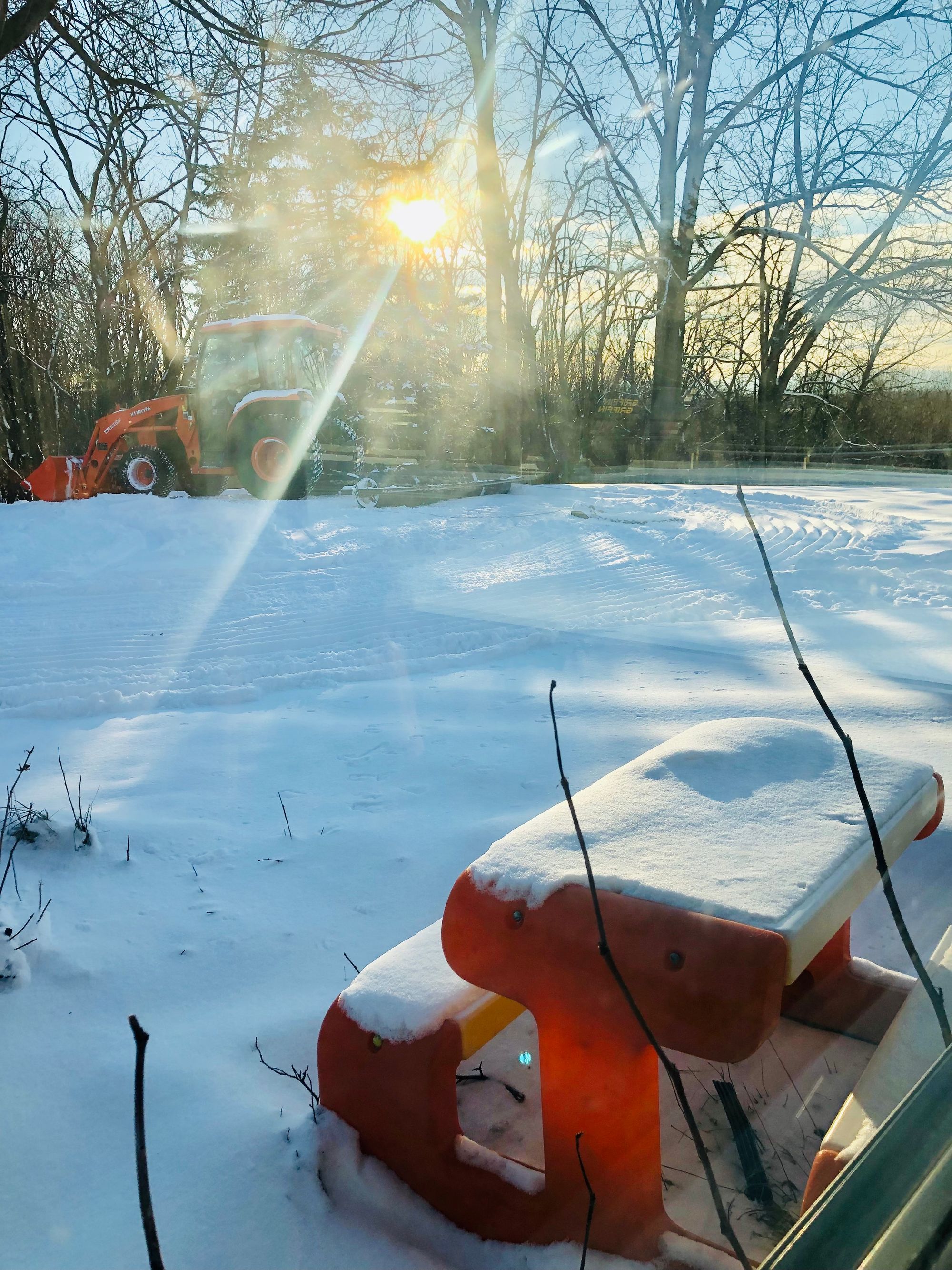 Tractor With Old Farm Roller Attached After Grooming