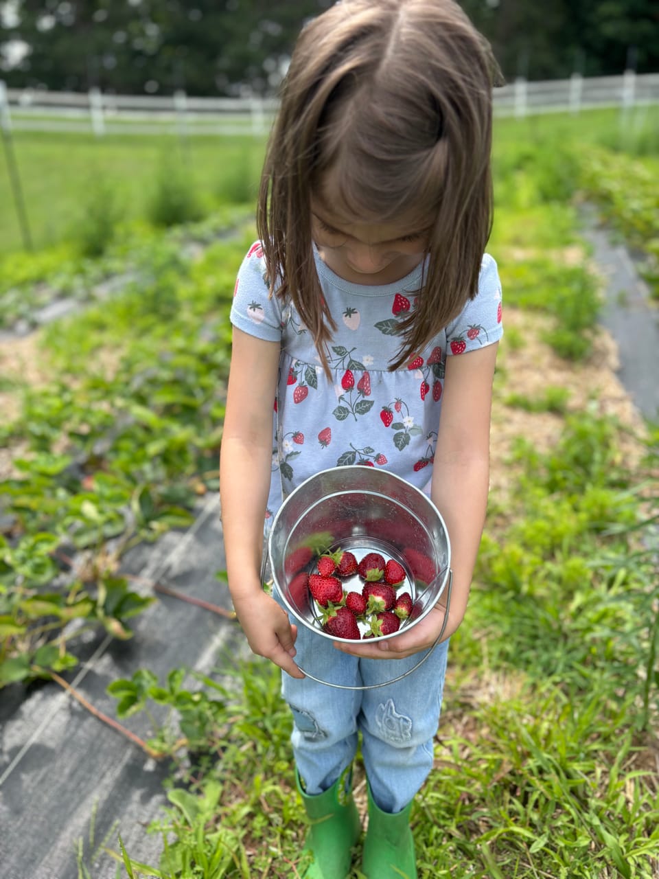 Farm Update: SATURDAYS & STRAWBERRIES Are Coming!